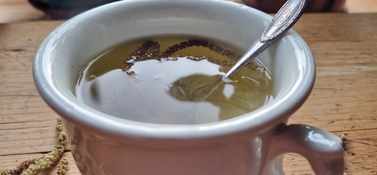 Kiefernnadel-Tee