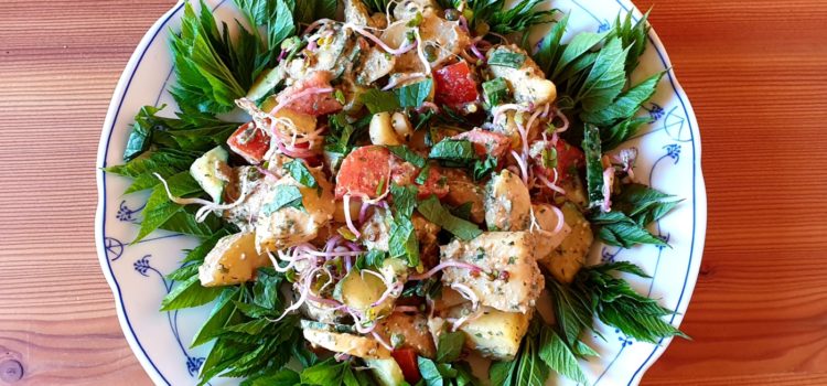 Wildkräuter-Salat