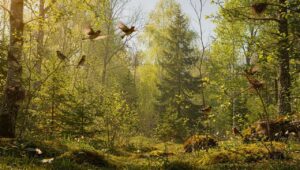 Naturschutz-Verbot: Brutzeit schützt Vögel ab 1. März