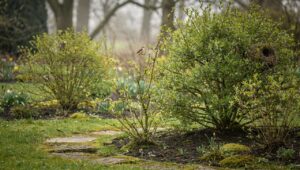 Gartenarbeit März verboten: Bundesnaturschutzgesetz schützt Brutzeit
