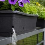 Blumenkästen nach Starkregen retten: Dieses Wasser muss jetzt raus, bevor die Wurzeln zu faulen beginnen