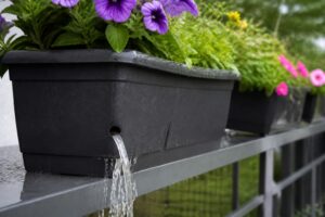 Blumenkästen nach Starkregen retten: Dieses Wasser muss jetzt raus, bevor die Wurzeln zu faulen beginnen